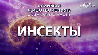 Инсекты #инсекты #Гарат #Сознание3 #Алхимияживотворения  #школаСорадение