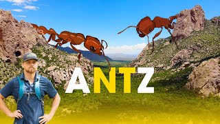 Ant Adventure in Arizona | The Ant Explorer