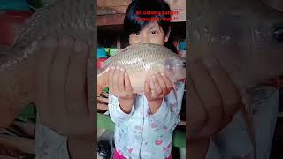 #shorts aduh KK seneng banget dapat ikan mas.!!!