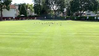 Lawn Bowls for Fun - 9 - Spider before a game.