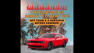 Summer at Planet Dodge