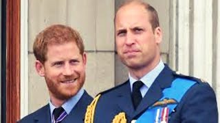 William And Harry's Favorite Meal Prince Harry and Prince William are royal brothers