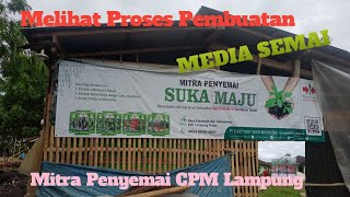 Proses Pembuatan MEDIA SEMAI ala Rumah Semai SUKAMAJU #seedling #penyemai #lampungtimur