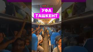 Уфа Ташкент комфорт автобус #уфа #ташкент #узбекистан #tashkent #uzbekistan