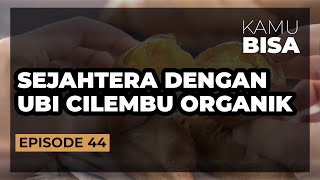 KAMU BISA "SEJAHTERA DENGAN UBI CILEMBU ORGANIK" - Episode 44