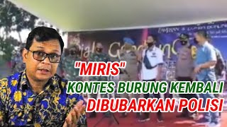 KONTES BURUNG KEMBALI DIBUBARKAN//MENPAREKRAF & POLRI SEDANG MENGKAJI  GELARAN DENGAN SYARAT KETAT