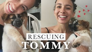 We Rescued A Puppy! | Authentic by Frani