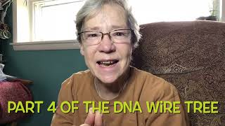 Artist of Only Trees (Part 4 of the DNA wire Tree)