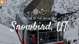 Day 04 / Hari Keempat : Snowbird Ski Resort