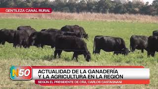 Actualidad de la ganadería y la agricultura en la región_2