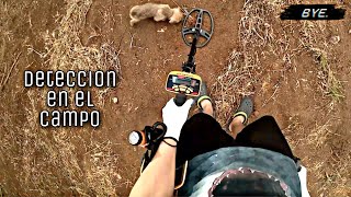 Buscando metales en el campo con Honey - Recuerdo Ext. #33