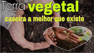 Como conseguir uma terra vegetal de maneira muito simples!