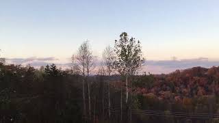 Fall Evening in The Smoky Mountains Tennessee Autumn 🍂 colors