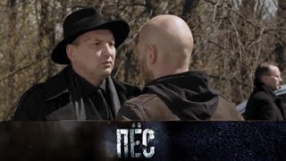 Остросюжетый сериал «Пёс» премьера с 16 мая на НТВ