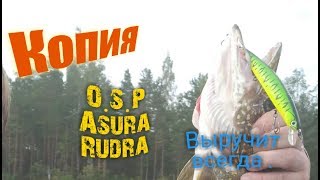 Ловля щуки на спиннинг с лодки ! Asurs rudra рулит. Kurtna järv .