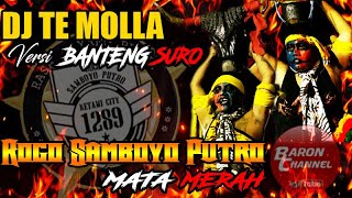 DJ Te MoLLa Versi Bantengan Jaranan ROGO SAMBOYO PUTRO Live KESAMBEN BLITAR 2020