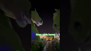 Grass Horses In Miracle Garden Dubai @VisitDubai #dubai #shorts #shortvideo #uae #