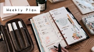 Weekly plan with me | TN rings