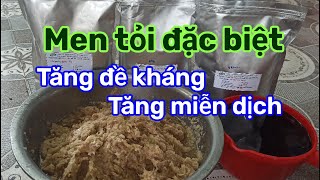 Men tỏi chăn nuôi| Công thức đặc biệt dành cho mùa mưa và dịch bệnh ☎️0372225255