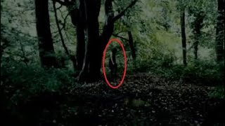 NIÑO fantasma se aparece en este ÁRBOL por las noches(Le tomaron una foto)