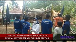 DPRD KABUPATEN PURWOREJO FRAKSI NASDEM SALURKAN BANTUAN TERNAK SAPI