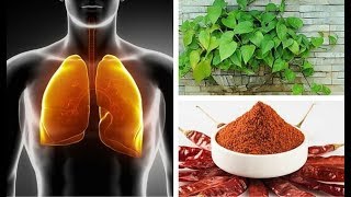 Cómo hacer una depuración de pulmones y bronquios