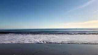 Waves, blue sky, star dog — Christmas Day, Bournemouth Beach 2019