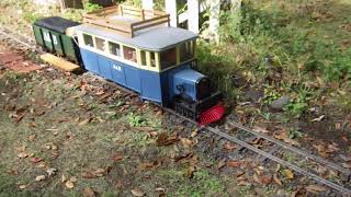 Driving in autumn garden railway