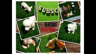 Kafshet Shtepiake /حيوانات البيت/動物/ House Animals / HITE TE REJA