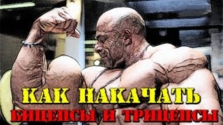 Как Накачать Бицепс и Трицепс