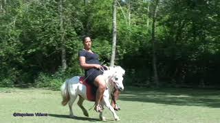 Pony Riding #pony #ponyriding #donkey #donkeyriding #Buffaloriding