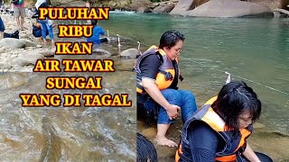 MANDI SUNGAI DENGAN BERIBU-RIBU IKAN YANG BANYAK