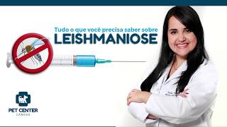 LEISHMANIOSE: Prevenção, sinais clínicos e tratamento