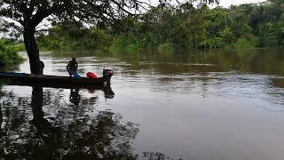 #shorts Río #Suriname, bajando el nivel de agua 05/2021