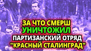 ЗА ЧТО СМЕРШ УНИЧТОЖИЛ ПАРТИЗАНСКИЙ ОТРЯД 