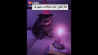 لما يكون عيد ميلادك في شهر 4