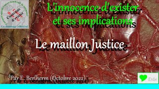 Le Maillon Justice