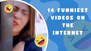 14 Funniest Video Compilation