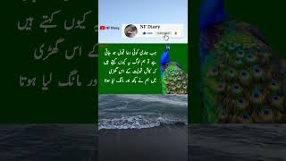 Jab Hamari Koi Dua Qabool Ho Jati Hai Tou Ham Log Phir / Aqwal e zareen #nfdiary #shortvideo