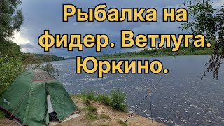 ТРИ ДНЯ на красавице - ВЕТЛУГЕ. ОТДЫХ и РЫБАЛКА. Уха на костре.