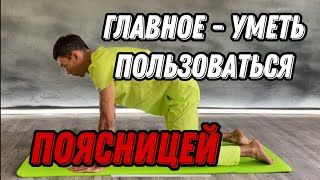 Работа с поясницей если часто болит