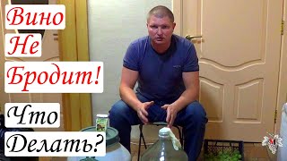 Вино не бродит! Что делать?