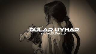 Dular Uyhar || New santali (slowed Reverb) song|| Lofi song