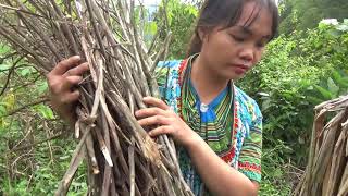 Primitive Life - Smart Girl Survival In The Forest Meet Forest People - LIVING OFF GRID