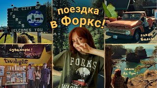 Поездка в ФОРКС – город из СУМЕРЕК // теплый влог