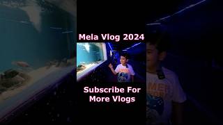 Delhi Special Mela 2024 Vlog | #underwater #fish #shortsvideo #shortsfeed #shorts #short