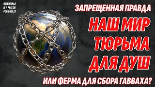 Запрещенная правда - Наш мир как тюрьма для душ