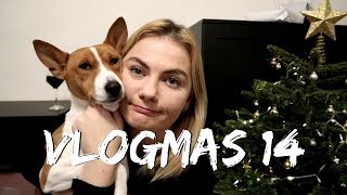 Vlogmas 14: kodėl mes emigravome?