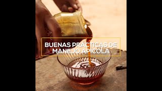 Buenas prácticas de manejeo apícola (4)