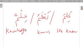 Madinah Arabic Book 2 Lesson 11 E